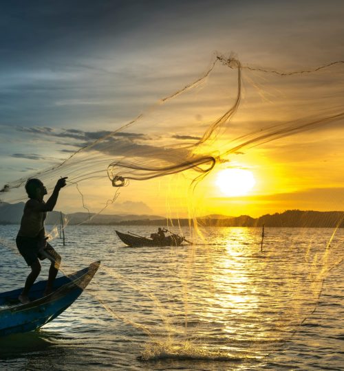 pexels-quang-nguyen-vinh-222549-2131881